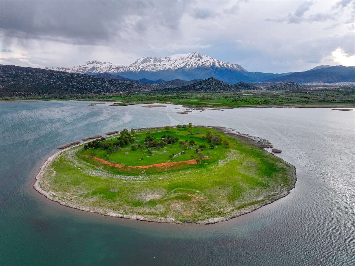 Konya’da bu sürü, adada tek başına yaşıyor 15